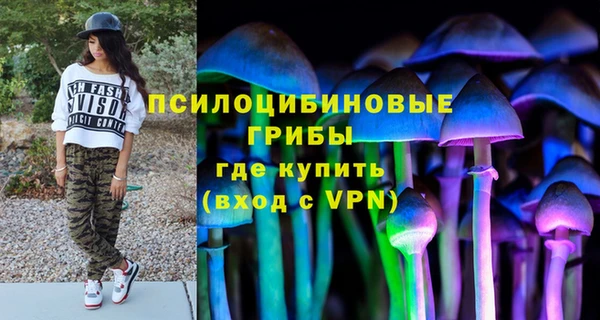 дживик Михайловка