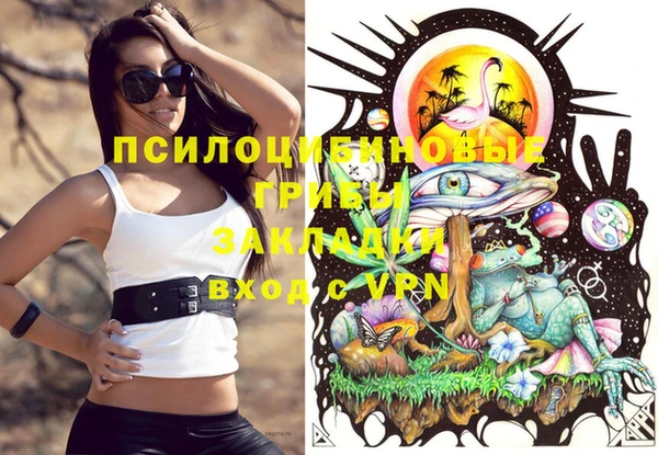 дживик Михайловка