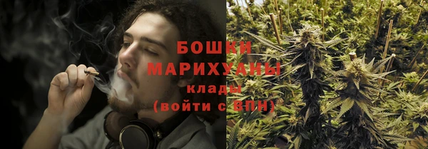 стаф Михайловск