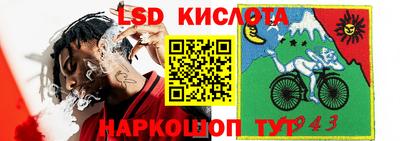 PSILOCYBIN Балаково