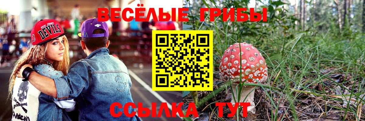 Зеленокумск  Псилоцибиновые грибы мухоморы  Псилоцибиновые грибы ЛСД  Вход с VPN 