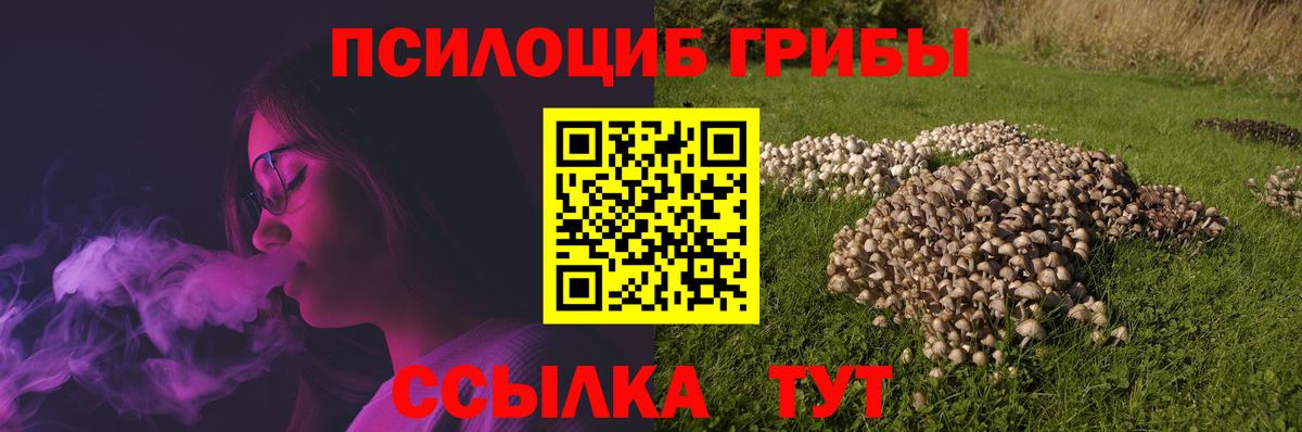 Галлюциногенные грибы прущие грибы Зеленокумск