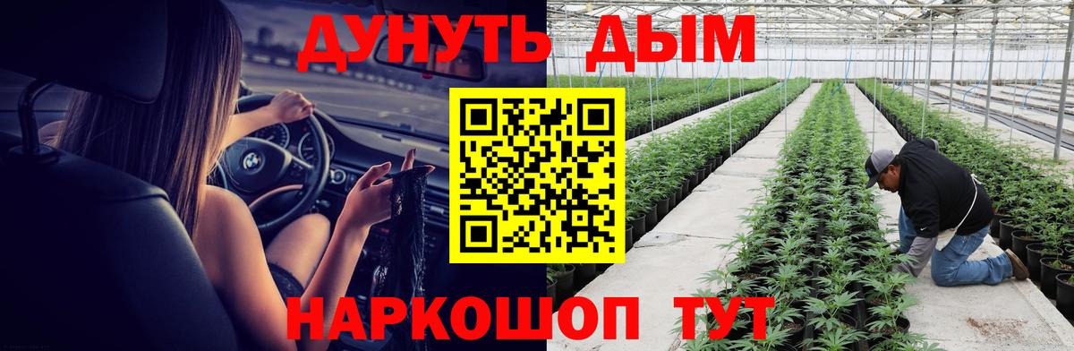 Каннабис планчик Зеленокумск